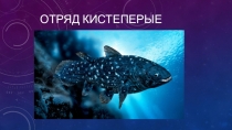 Кистеперые рыбы
