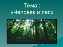 Презентация по окружающему миру