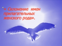 Презентация Прилагательное и его склонение
