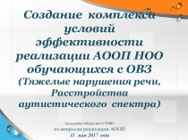Создание комплекса условий эффективности реализации АООП НОО обучающихся с ОВЗ (Тяжелые нарушения речи)