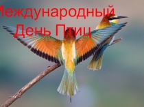 Мероприятие по биологии Международный день Птиц