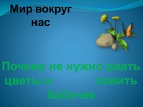 Презентация по окружающему миру на тему  Почему мы не будем рвать цветы и ловить бабочек