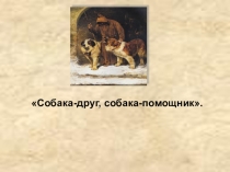 Презентация по окружающему миру к теме Домашние животные