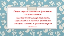 Презентация по дисциплине Анатомия и физиология человека на тему: Общие вопросы анатомии и физиологии сенсорных систем. Соматическая сенсорная система. Обонятельная и вкусовая. Зрительная сенсорная система. Слуховая сенсорная система