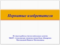 Презентация из опыта работы по окружающему миру на тему Пернатые изобретатели