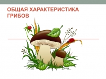 Презентация по биологии Грибы. Общая характеристика 6 класс
