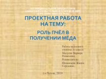 Исследовательская работа на тему: Роль пчёл в получении мёда.