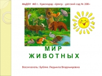 Дидактическая игра-презентация Мир животных