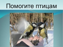 Презентация Покормите птиц зимой!(1класс)