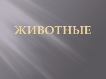 Презентация по биологии Животные (5 класс)