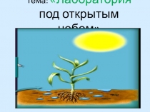 Презентация по биологии на тему: Фотосинтез. (6 класс)