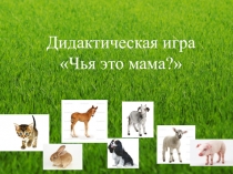 Интерактивная игра Чья это мама? младший дошкольный возраст