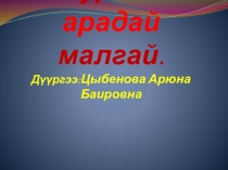 Презентация Буряад арадай малгай
