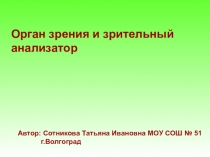 Презентация Орган зрения и зрительный анализатор