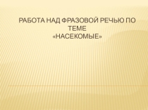 Развитие фразовой речи по теме Насекомые