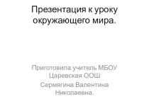 Презентация по окружающему миру на тему Птицы.