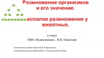 Презентация по биологии на тему Размножение организмов, его значение. Бесполое размножение у животных