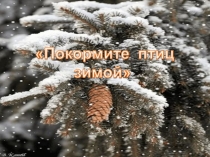 Сочинение рассказа по серии картинок и по вопросам