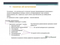 Онтогенез 9 класс