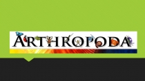 Презентация по биологии на тему General Characteristics of Phylum Arthropoda