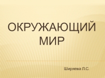 Презентация к уроку окружающего мира на тему Устройство государственной власти