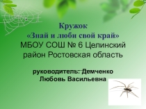 Отчет о работе кружка Знай и люби свой край