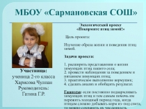 Презентация Покормите птиц зимой