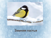 Презентация Зимняя гостья.Творческое занятие по лепке.