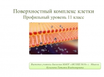 Презентация по биологии на тему Поверхностный слой клетки (11 класс)