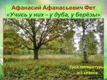 Презентация по литературе по теме Анализ стихотворения А.А.Фета Учись у них - у дуба, у берёзы (6 класс)