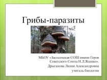 Презентация по биологии на тему Грибы-паразиты ( 5 класс)