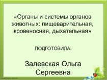 Органы и системы органов: пищеварительная, кровеносная, дыхательная