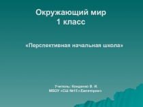 Презентация по окружающему миру на тему:  Как животные готовятся к зиме .1 класс ( 2 урок) ПНШ