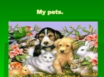 My pets