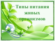 Презентация по теме Питание организмов