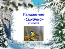 Презентация по русскому языку на тему Обучающее изложение Синичка (3 класс)