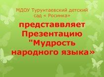 Презентация Мудрость народного языка