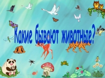 Презентация Какие бывают животные