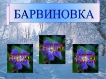 Презентация по краеведческой. исследовательской работе Барвиновка - вчера,сегодня,завтра.