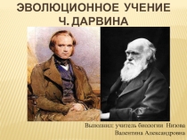 Эволюционное учение Ч.Дарвина 9 класс