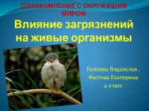 Презентация Влияние загрязнений на живые организмы