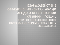 ВЗАИМОДЕЙСТВИЕ ОБЪЕДИНЕНИЯ ВИТА МБУ ДО АРЦДО И ВЕТЕРИНАРНОЙ КЛИНИКИ ГОША.