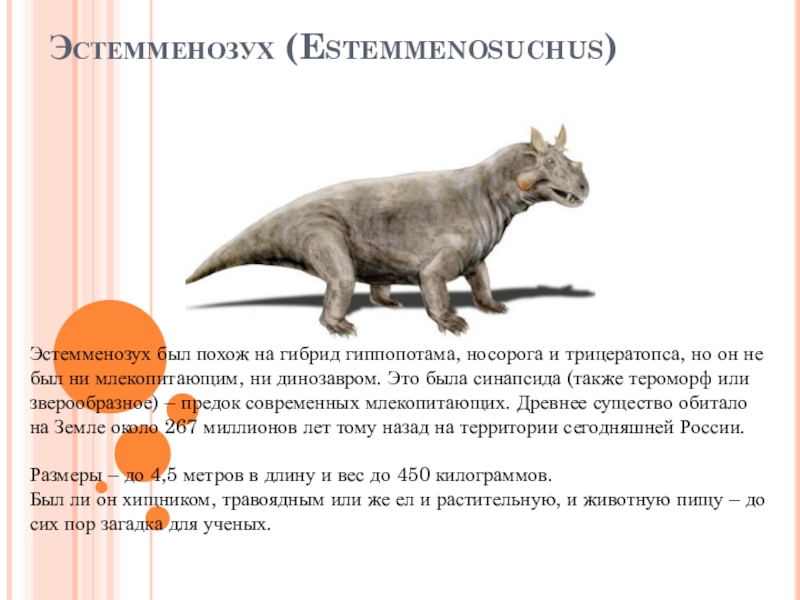 Животные, Жившие до динозавров. 3 класс. Эстемменозух (Estemmenosuchus)Эстемменозух был похож на гибрид гиппопотама, носорога и трицератопса, но Эстемменозух (Estemmenosuchus)Эстемменозух был похож на гибрид гиппопотама, носорога и трицератопса, но он не был ни млекопитающим, ни