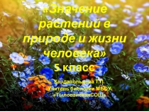 Презентация по биологии на тему Значение растений в природе и жизни человека