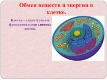 Презентация по биологии на тему Обмен веществ и энергии