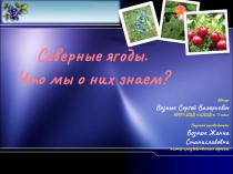 Северные ягоды. Что мы о них знаем?