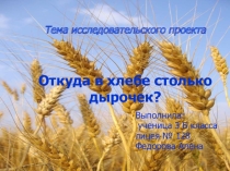 Презентация по окружающему миру Откуда в хлебе столько дырочек?
