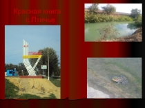 Презентация по географии Красная книга с.Птичье.