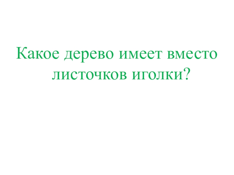 Презентация КВД Викторина И снова осень Какое дерево имеет вместо листочков иголки? Какое дерево имеет вместо листочков иголки?