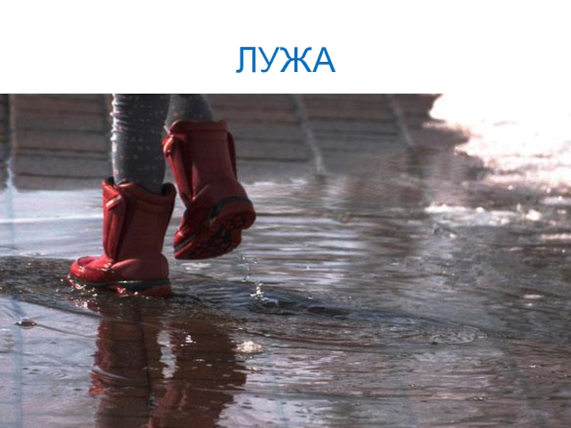 Презентация КВД Викторина И снова осень ЛУЖА ЛУЖА